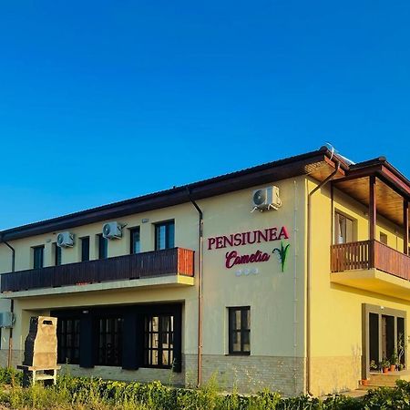 Pensiunea Camelia Baia Εξωτερικό φωτογραφία