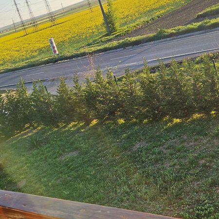 Pensiunea Camelia Baia Εξωτερικό φωτογραφία