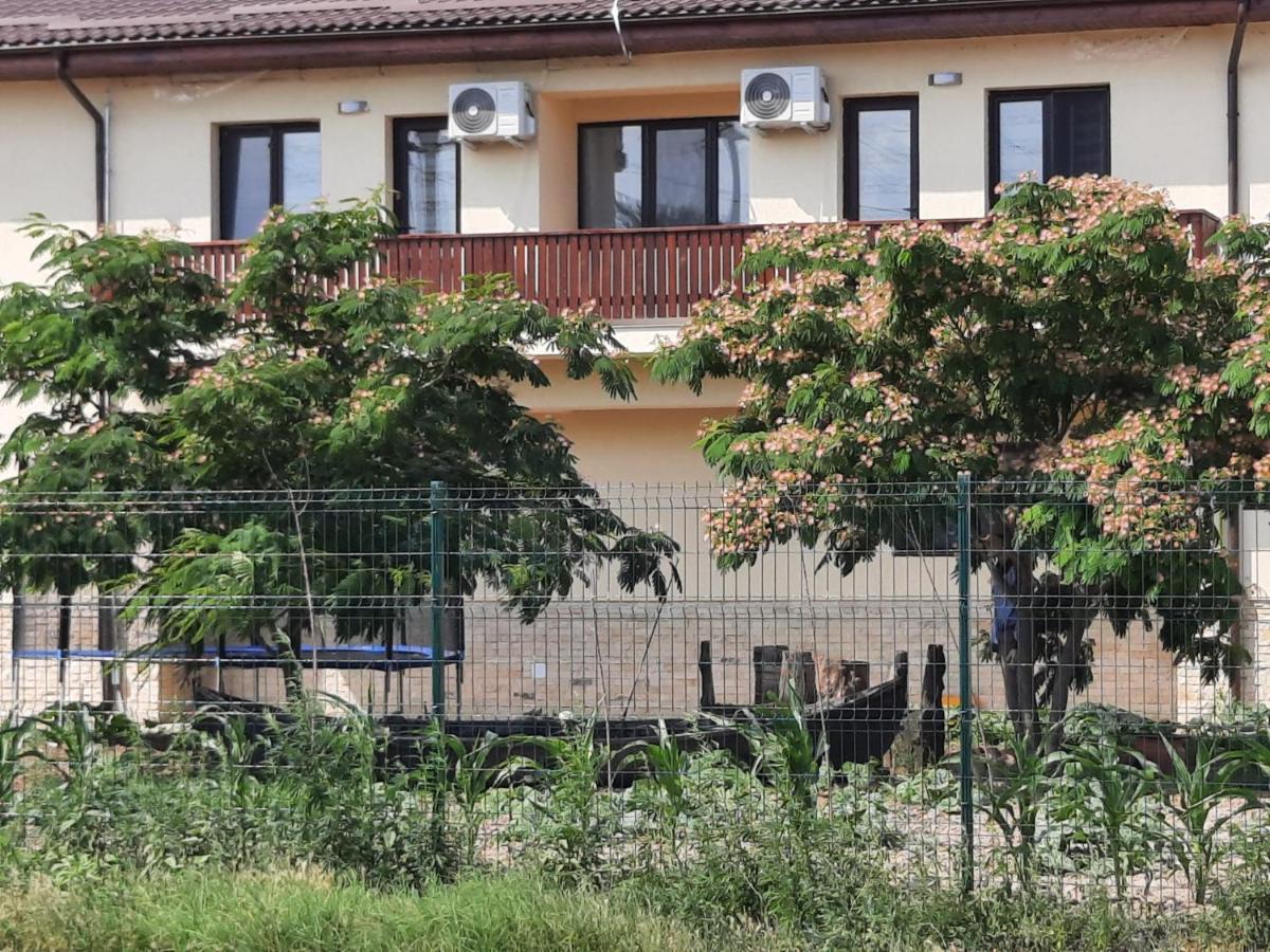 Pensiunea Camelia Baia Εξωτερικό φωτογραφία