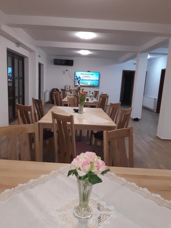 Pensiunea Camelia Baia Εξωτερικό φωτογραφία