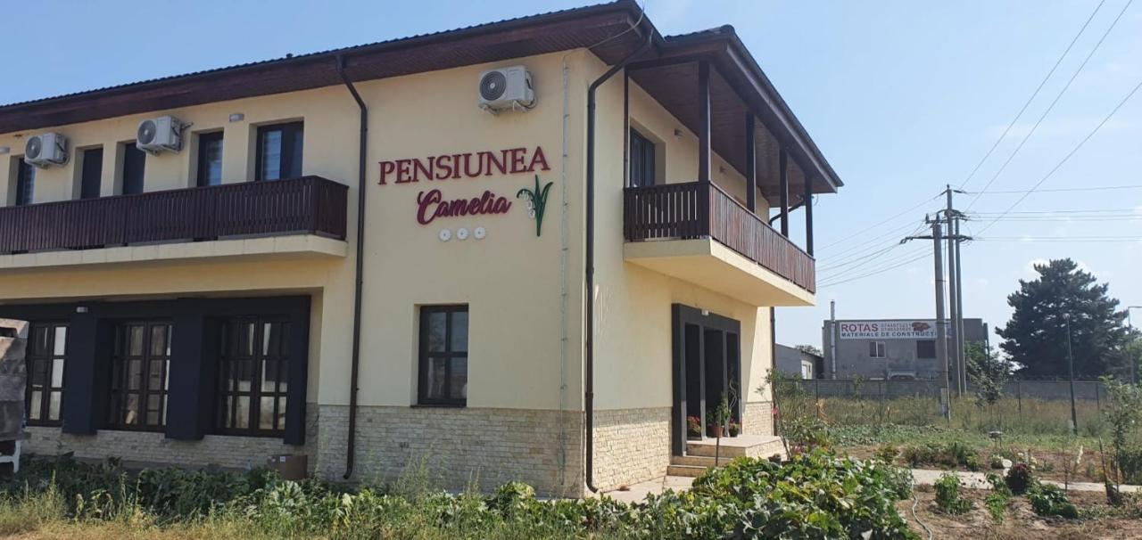 Pensiunea Camelia Baia Εξωτερικό φωτογραφία