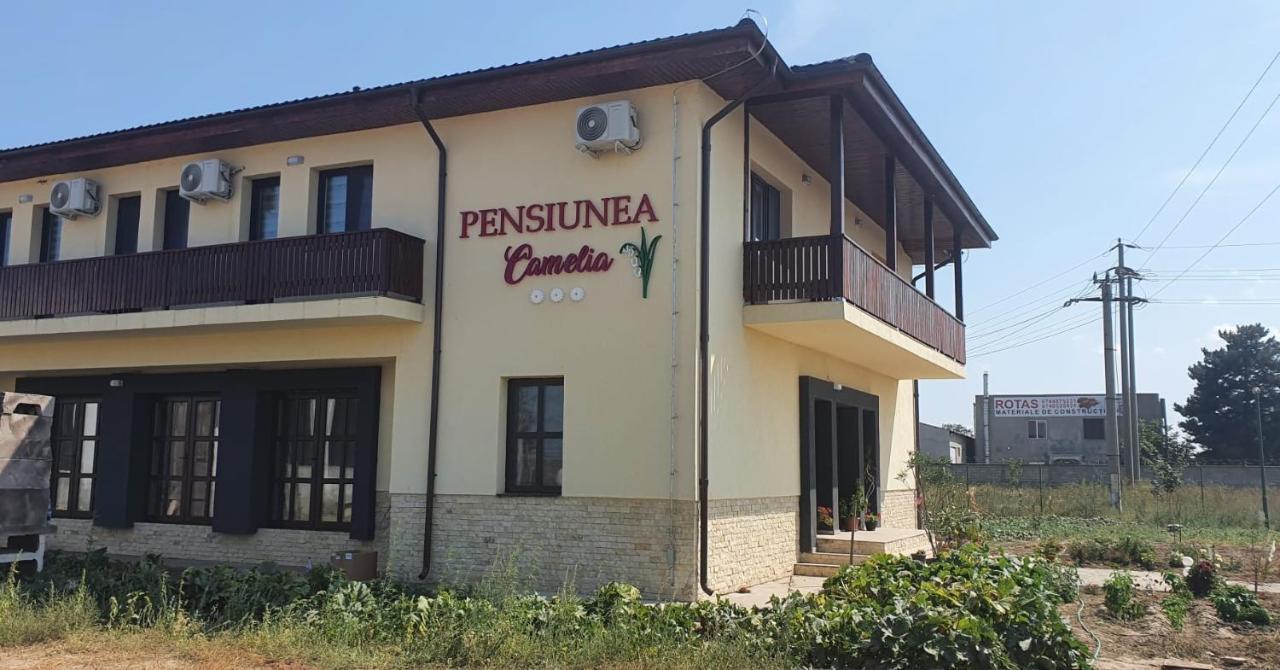 Pensiunea Camelia Baia Εξωτερικό φωτογραφία