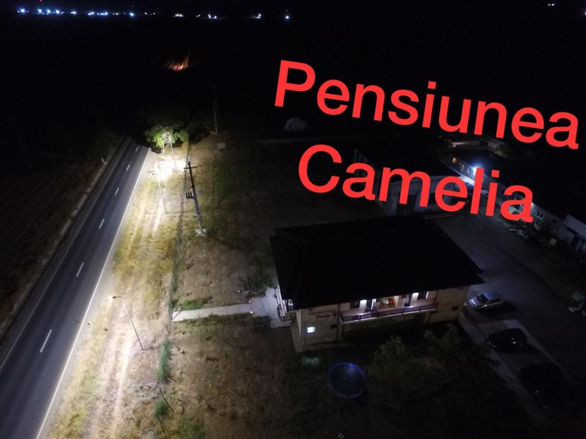 Pensiunea Camelia Baia Εξωτερικό φωτογραφία