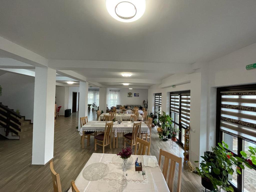 Pensiunea Camelia Baia Εξωτερικό φωτογραφία