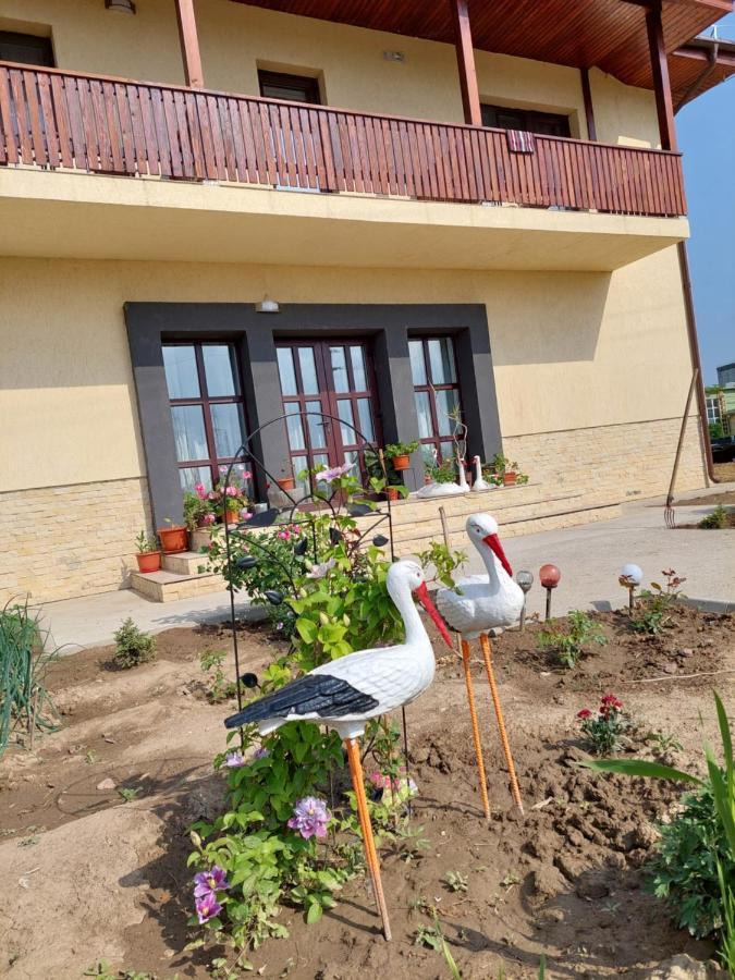 Pensiunea Camelia Baia Εξωτερικό φωτογραφία