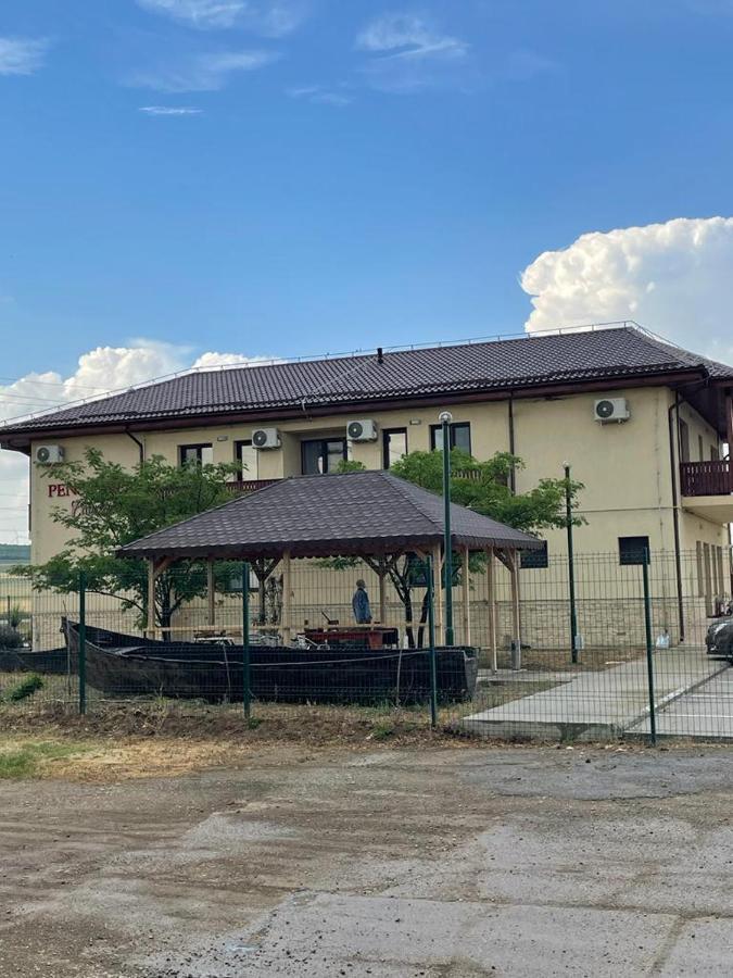 Pensiunea Camelia Baia Εξωτερικό φωτογραφία