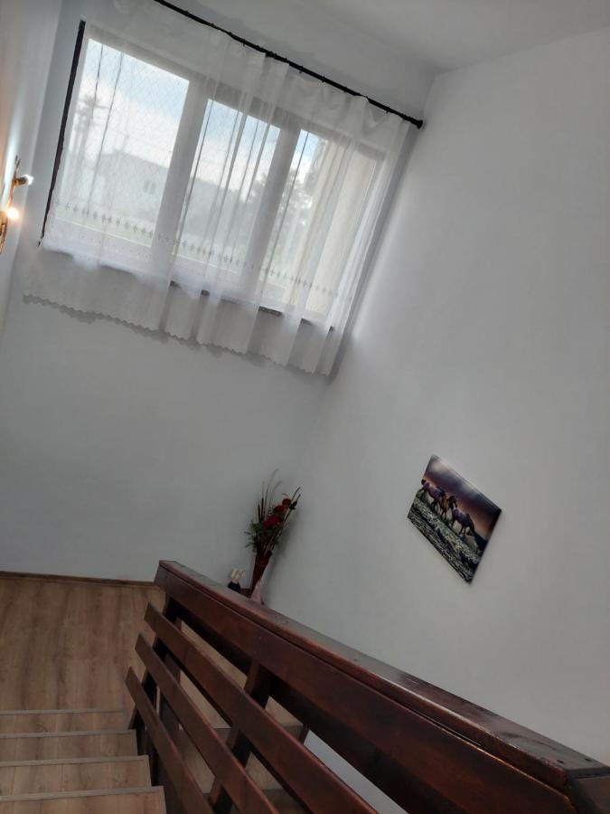 Pensiunea Camelia Baia Εξωτερικό φωτογραφία