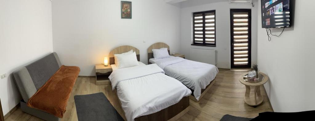 Pensiunea Camelia Baia Εξωτερικό φωτογραφία