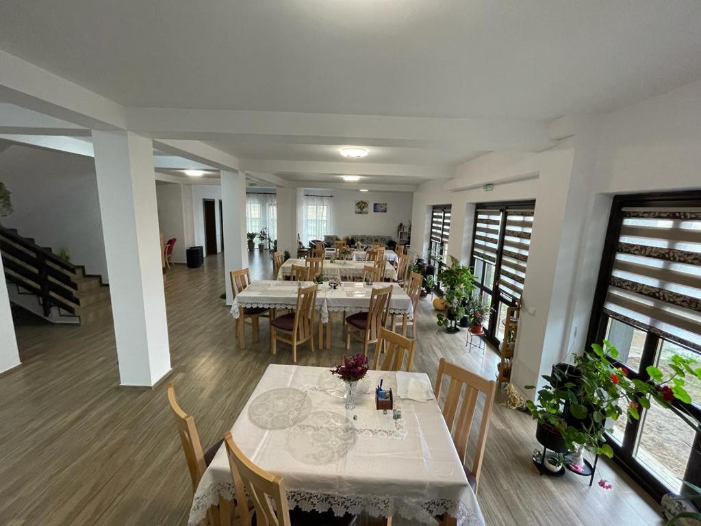 Pensiunea Camelia Baia Εξωτερικό φωτογραφία